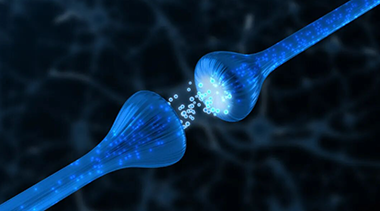 CRM����ת�����ĺ�Ĭ������������ѧ�ҷ��֣��ָ�NAD��̬��ȫ����ת����ADģʽС��Ĳ�������������֪����