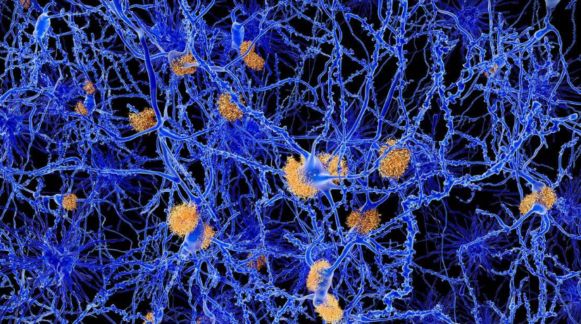 Ԭ����Ժʿ�Ŷ�����Immunity����������ĺ�Ĭ�������²���