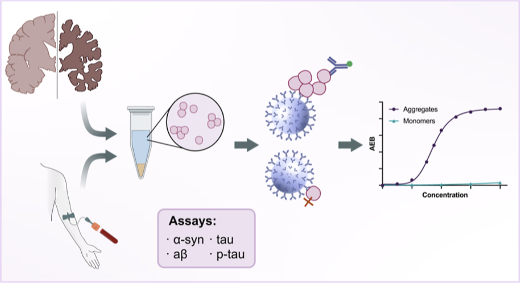 ���AD��������֯��Ѫ���п����Ԧ�-syn��A�º�tau�ۼ���