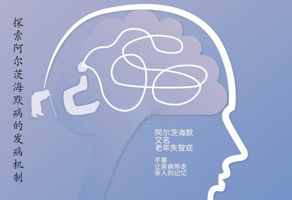 ̽�������ĺ�Ĭ���ķ�������